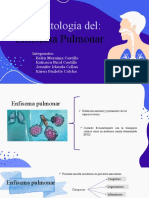 Enfisema Pulmonar Fisiopatologia 