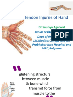 Tendon Injuries of Hand: DR Saumya Agarwal