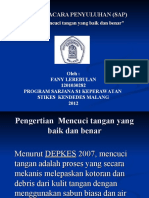 Fani Lerebulan