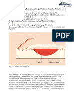 Manejo de Heridas y Principios de Cirugia Plastica en Pequenos Animales