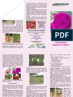 Folder Fluticultura Pitaya 6