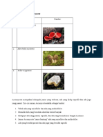 Makro Dan Morfologi Ascomycota