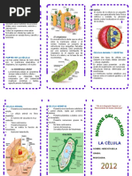 Triptico Celula Biologia