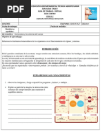 Taller Sobre Homeostasis