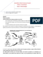 Secuencia Didáctica Sistema Urinario para 5to Grado