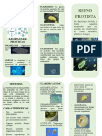 Folleto Reino Protista Darwin