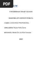 Analisis Al Caso de Coaching Aplicado en La Empresa Pibamour