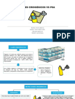 Gases Criogénicos VS Psa