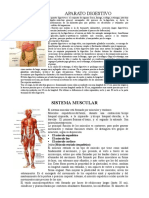 Aparatos y Sistemas Del Cuerpo Humano