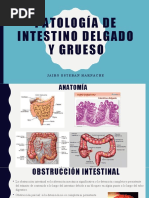 Patología de Intestino Delgado y Grueso