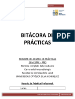 Formato de Bitácora Práctica Profesional FA UCSH