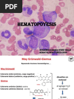 Hematopoyesis Morfología MV