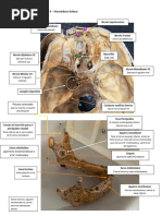 Gymnkana 2 2.0 PDF