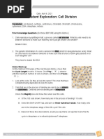 Student Exploration: Cell Division: Vocabulary: Cell Division, Centriole, Centromere, Chromatid, Chromatin, Chromosome