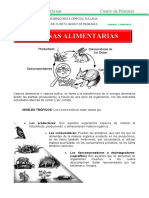 Cadena Alimentaria para Cuarto de Primaria