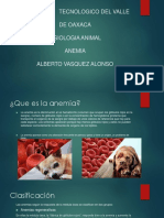 Anemia Fisiologia Animal