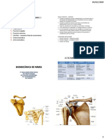 Biomecanica de MMSS