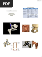 Biomecánica de Mmii