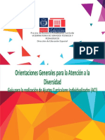 Orientaciones Generales para La Atencion A La Diversidad Final 08 08 PDF