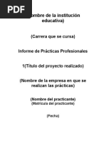 Informe de Prácticas Profesionales 1