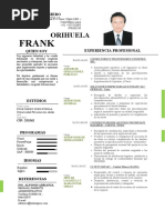 Cv-Frank Orihuela 46428633 Comprimido