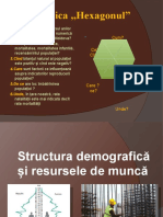 Structura Demografica Si Resursuele de Munca Prez Meu