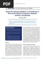 Beyond The Dopamine Hypothesis of Schizophrenia To Three Neural Networks of Psychosis Dopamine Serotonin and Glutamate