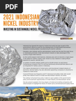 DINY Sponsorship NICKEL OUTLOOK1