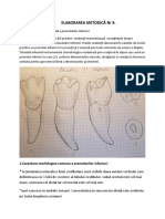 Elaborare-Nr-9 Morfologie