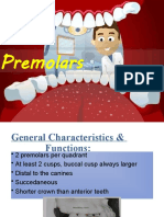 Max - Mand Premolars