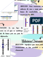 Tipos de Mutaciones Infografías PROBANDO