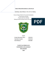 LAPORAN PRAKTIK KERJA LAPANGAN - Kelompok 4 - Pencegahan Dan Penanganan Covid-19 Yaitu Mahasiswa, Pedagang, Pimpinan Perusahaan