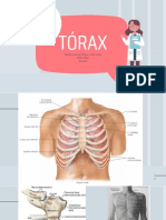 Semiología Tórax MMPG