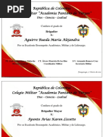 Diplomas Final Brigadier