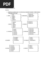 Practica, La Palabra y Su Estructura