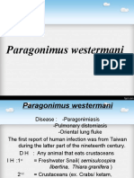 Kuliah Paragonimus Westermani