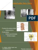 Columna Vertebral Lumbar, Sacro y Coccis