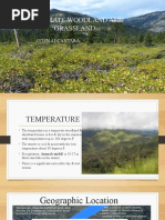 Temperate Woodland and Shrubland