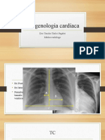 Estudios de Diagnóstico Por La Imagen Cardíacos