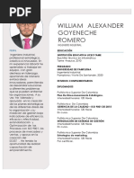 William Alexander Goyeneche Romero: Perfil