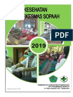 Profil Kesehatan UPT Puskesmas Sopaah Tahun 2019