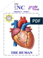 The Human Heart: Learning Activity Sheets in