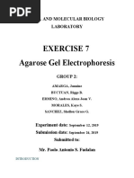 Exercise 7 Agarose Gel Electrophoresis: Cell and Molecular Biology Laboratory