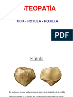 02 Rodilla