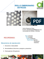 Desarrollo Embrionario Peces, Anf, Rep y Aves