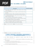 Ficha de Trabajo 2