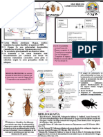 Chagas Poster