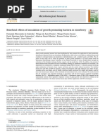 Beneficial Effects of Inoculation of Growth-Promoting Bacteria in Strawberry