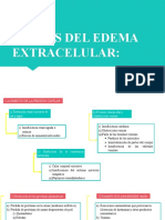 Causas Del Edema Extracelular