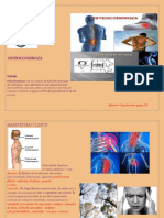 Coşcodan Neurologie Studiu Individual 1